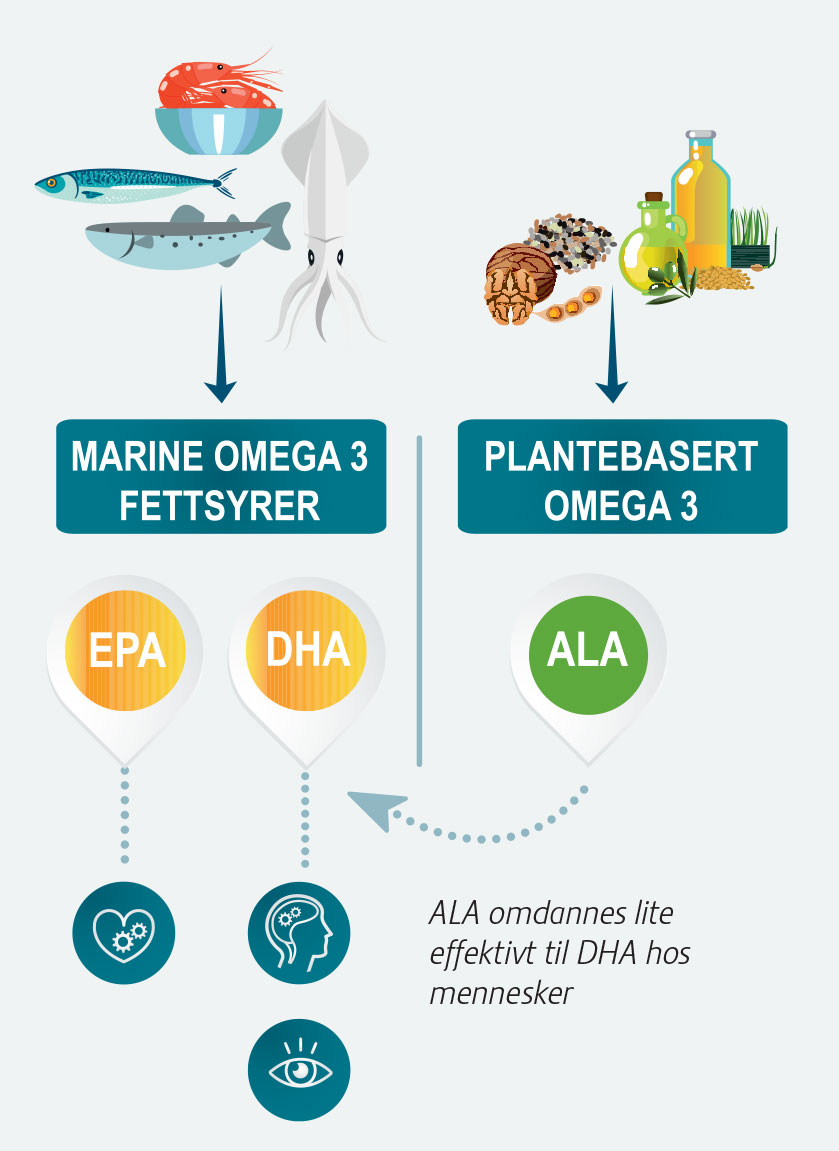 Omega-3-infographic_VitaePro_839x1151.jpg